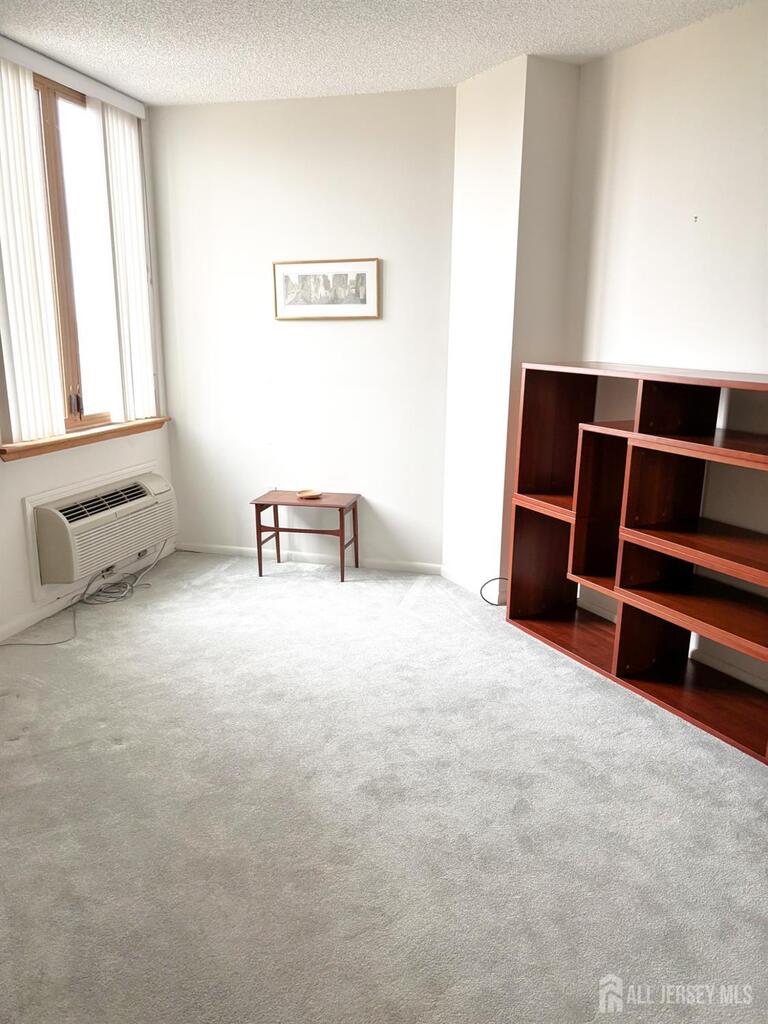 Photo 16 of 30 S ADELAIDE Avenue # 8J, Highland Park NJ 08904, Highland Park, NJ