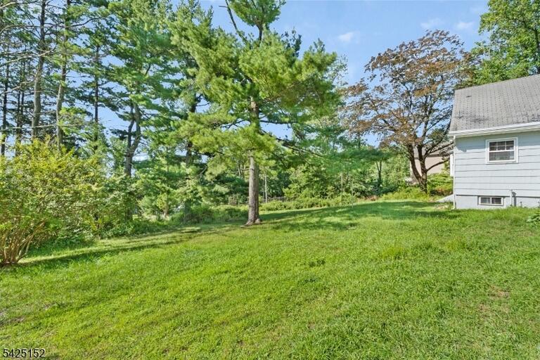 image-4021483-1.jpeg
