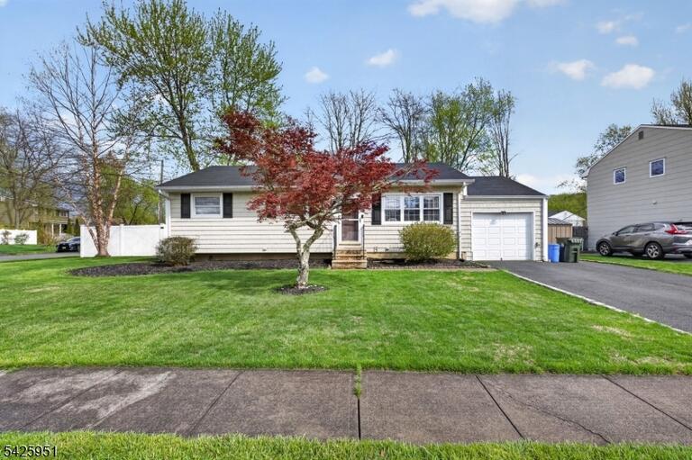 image-4022143-1.jpeg