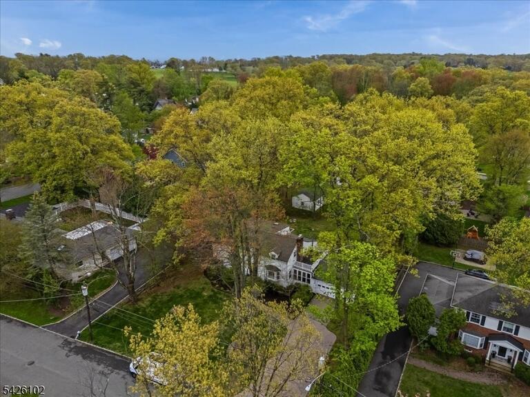 image-4023134-35.jpeg