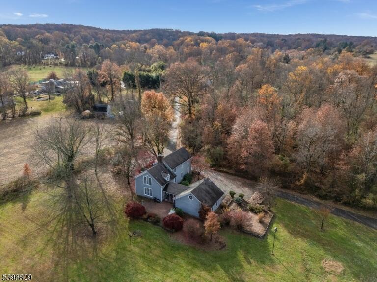 image-4024782-7.jpeg