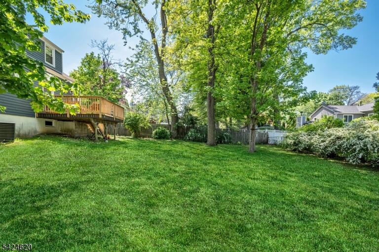 image-4026309-28.jpeg
