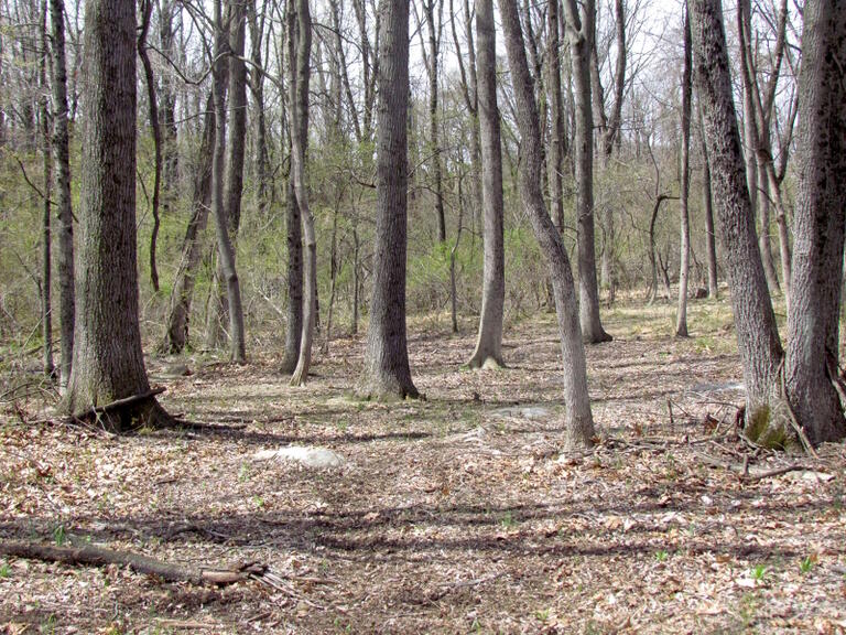 Property listing MLS 4032673 photo 10