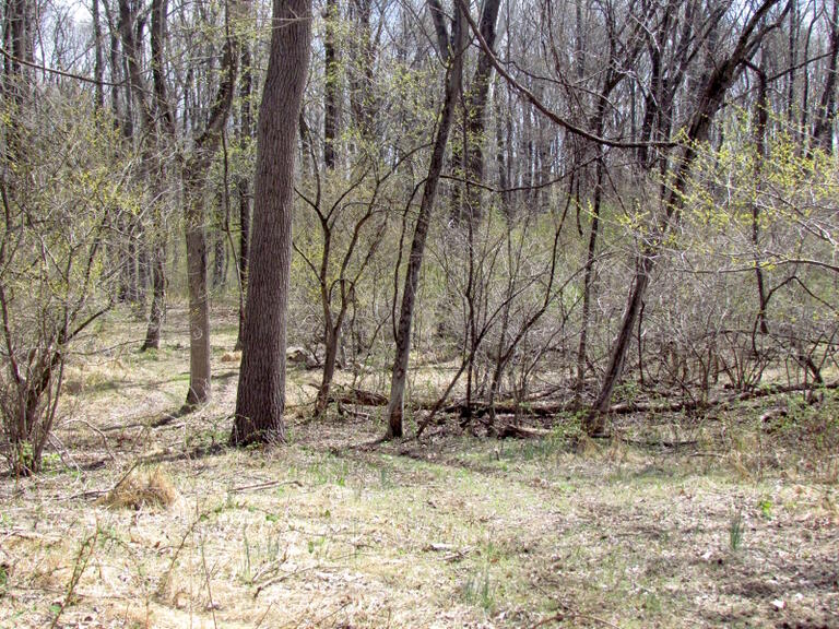 Property listing MLS 4032673 photo 14
