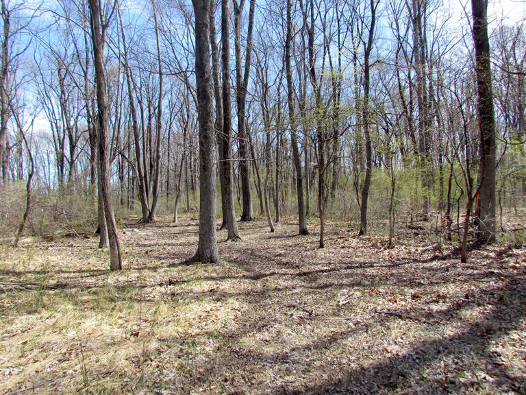 Property listing MLS 4032673 photo 18