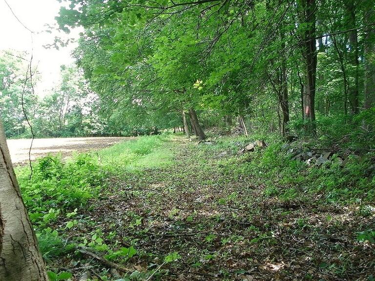 Property listing MLS 4032673 photo 4