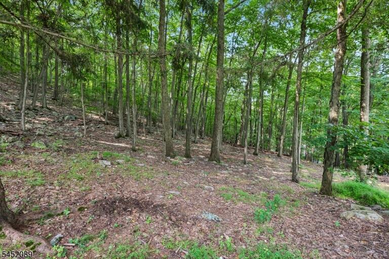Property listing MLS 4046202 photo 33