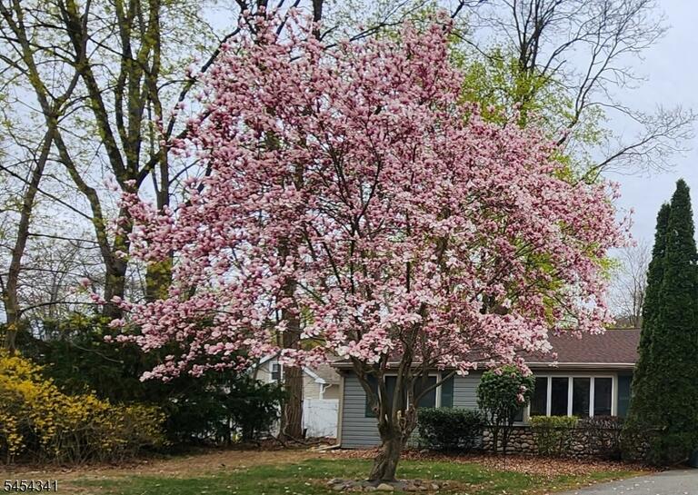 Property listing MLS 4047381 photo 19