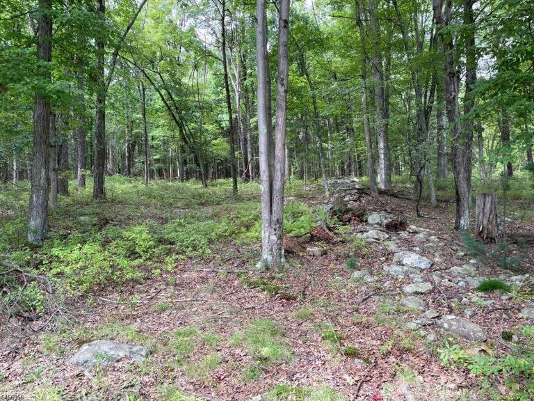 Property listing MLS 4049673 photo 2