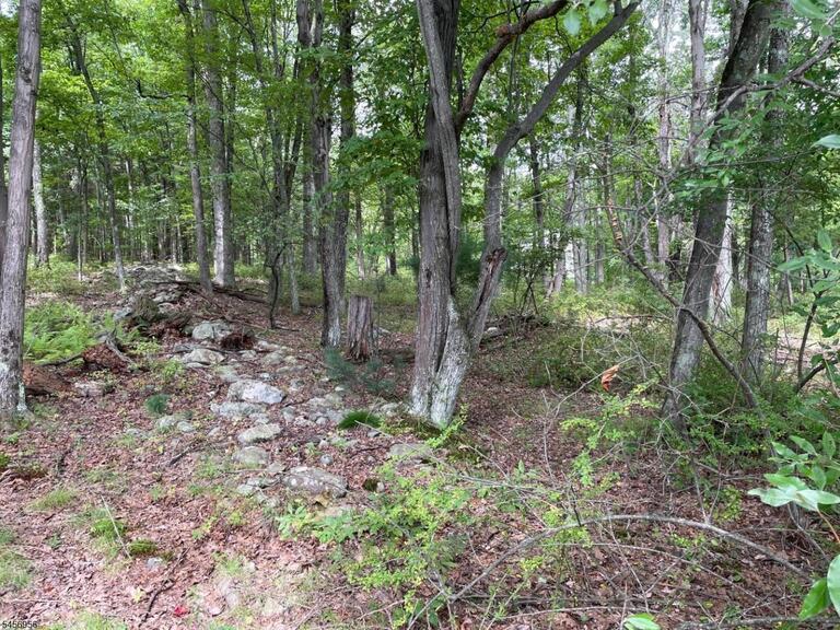 Property listing MLS 4049673 photo 4