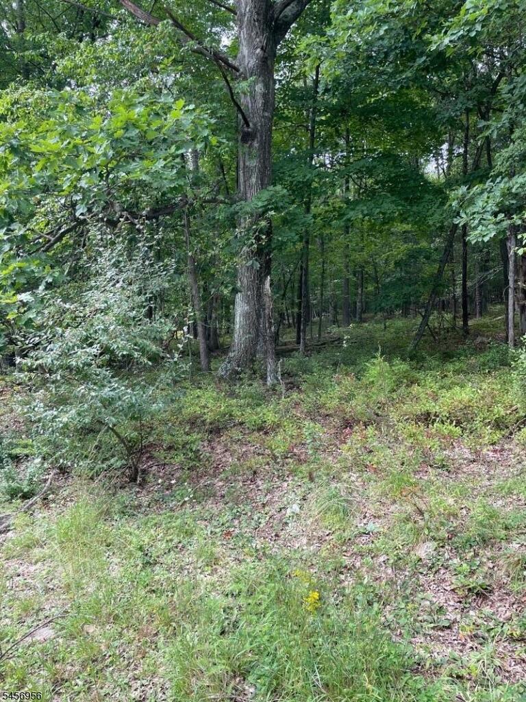 Property listing MLS 4049673 photo 6
